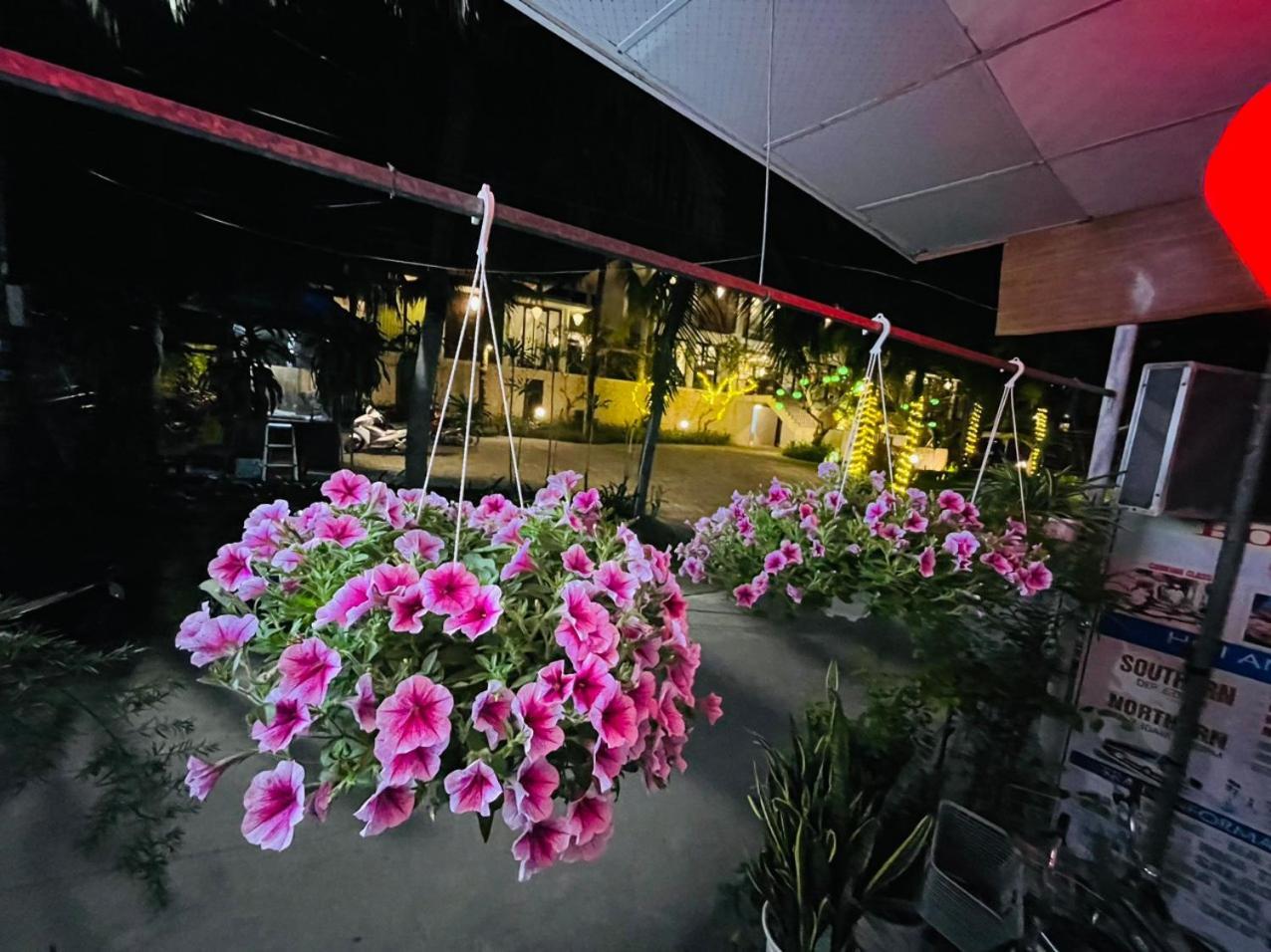 Cuong Thinh Homestay Hoi An Esterno foto